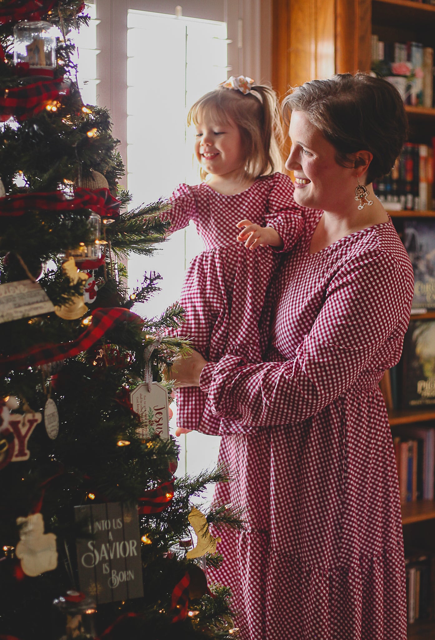 Cranberry Gingham ~ Novella Dress