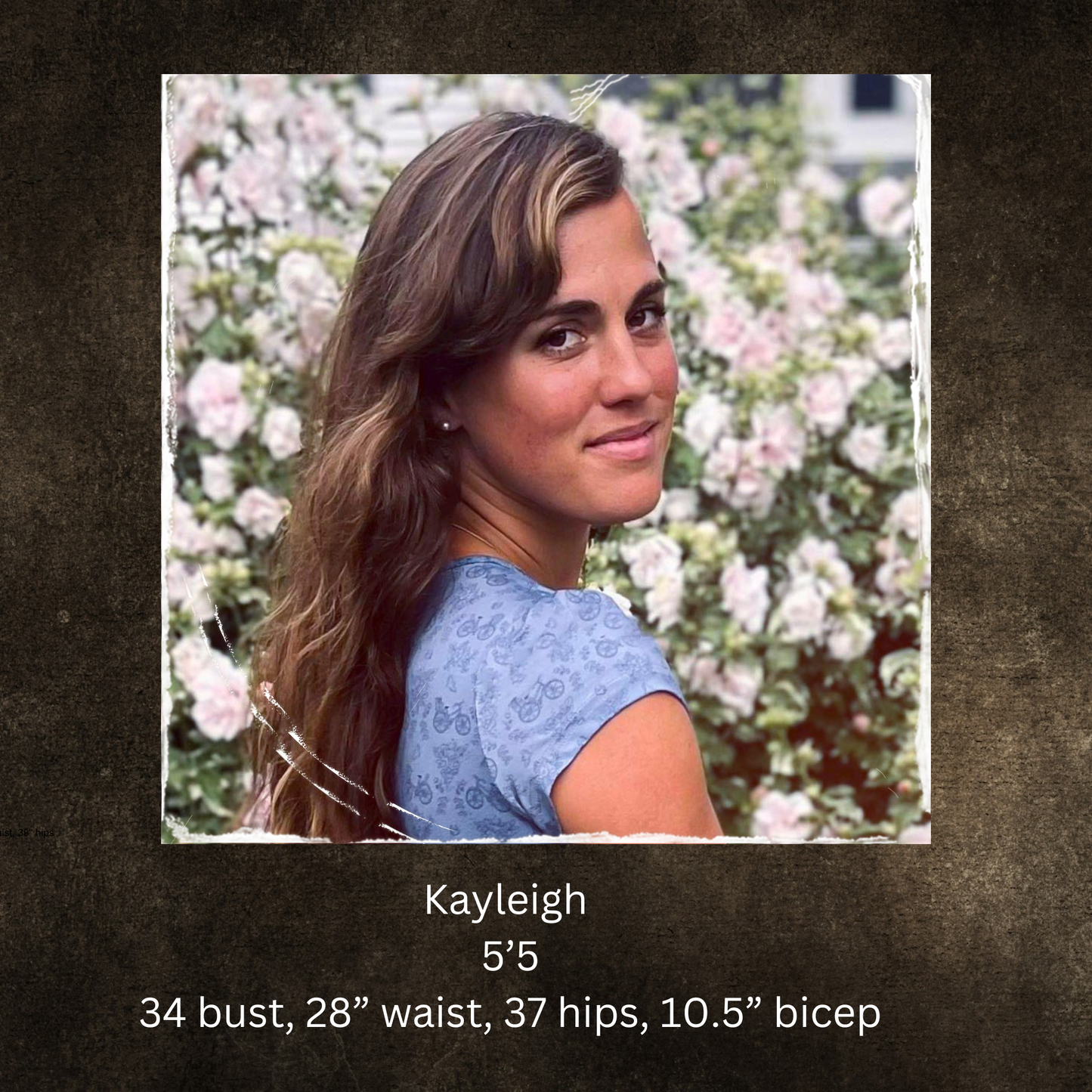 Tearose Toile ~ ~ Laureate Maxi