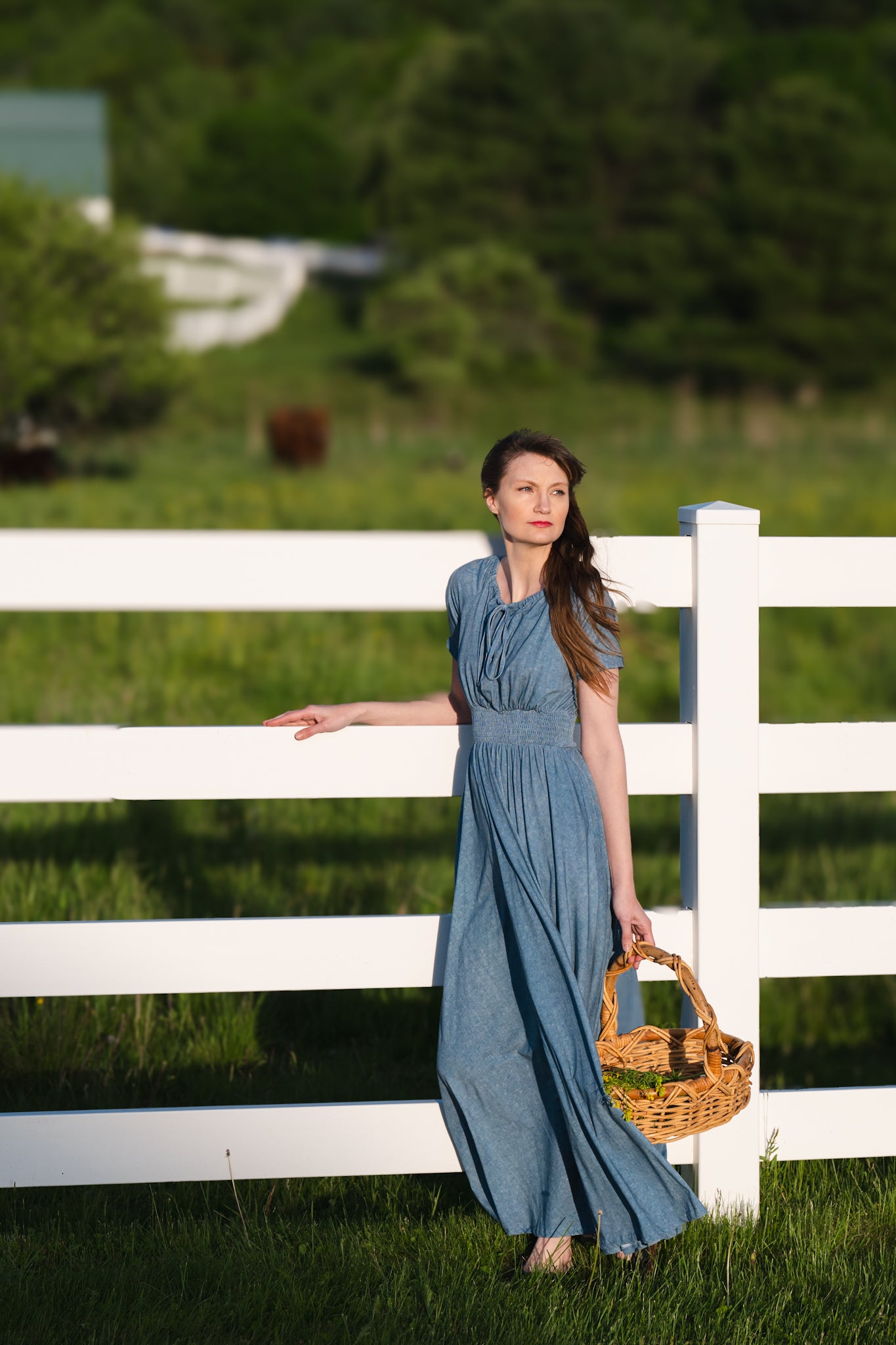 Shenandoah Chambray ~ Folklore Maxi