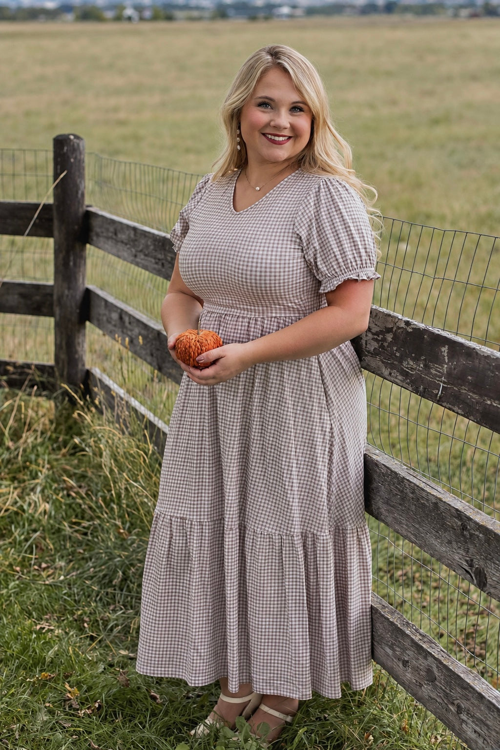 Nutmeg Gingham ~ Storybook Dress