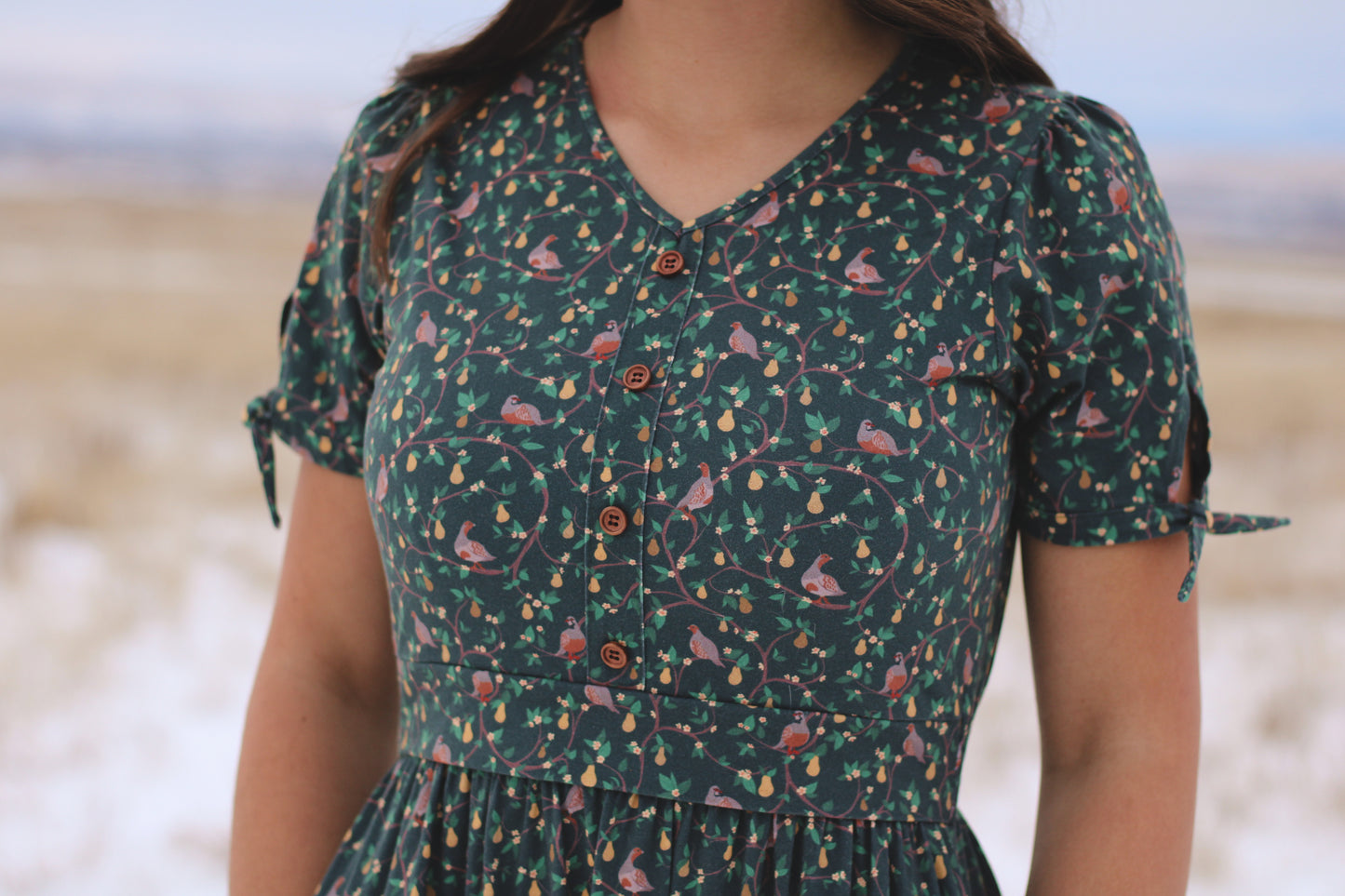 Pear Tree Lane ~ Hinterland Dress