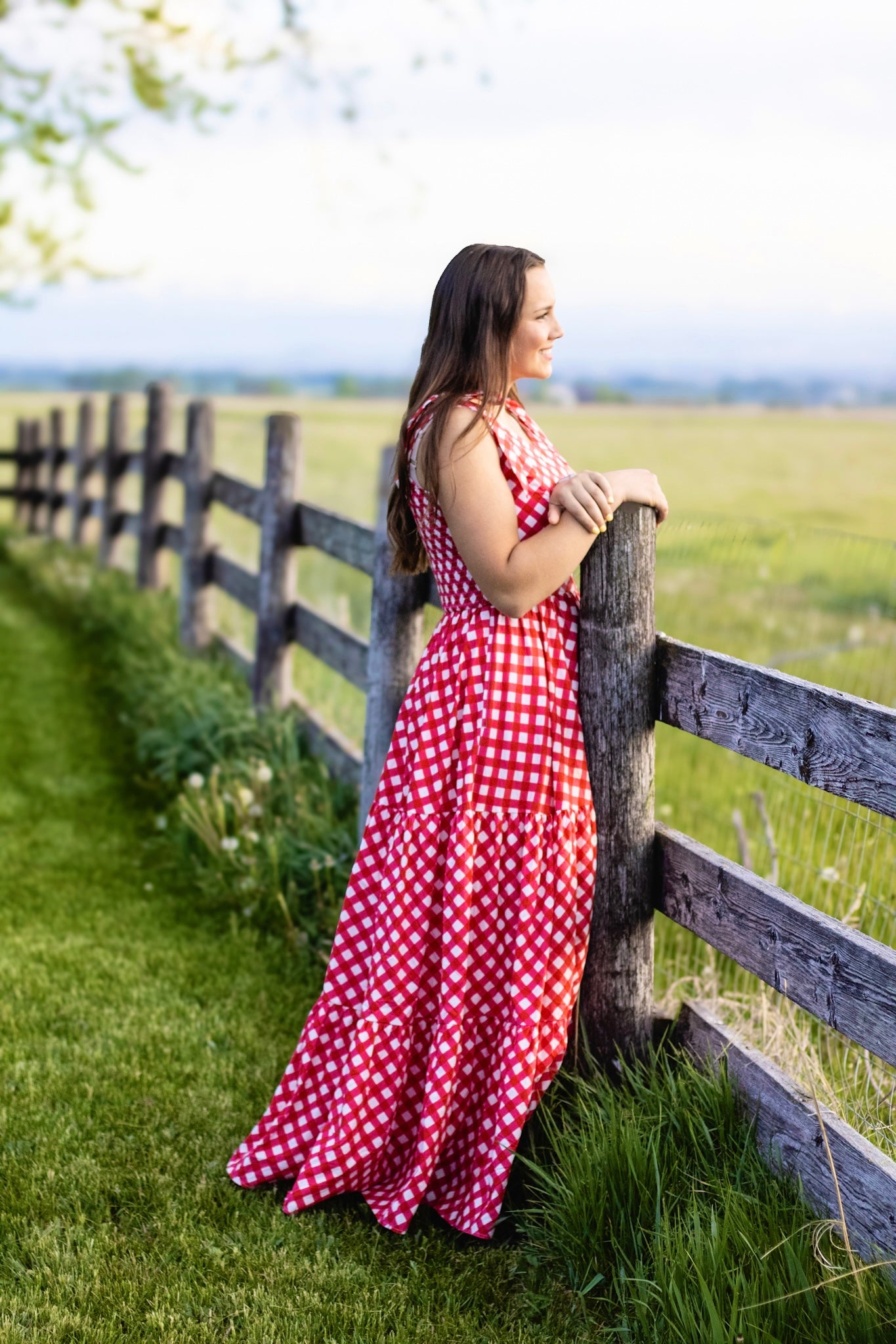 Grenadine Gingham ~ Lenora Dress