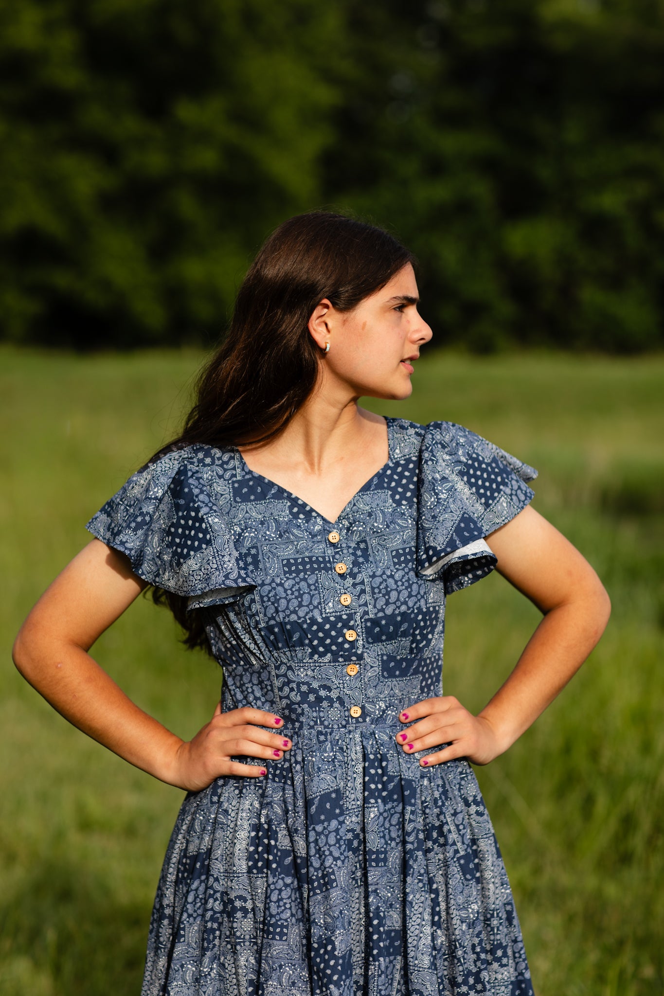Frontier Fable ~ Keepsake Dress