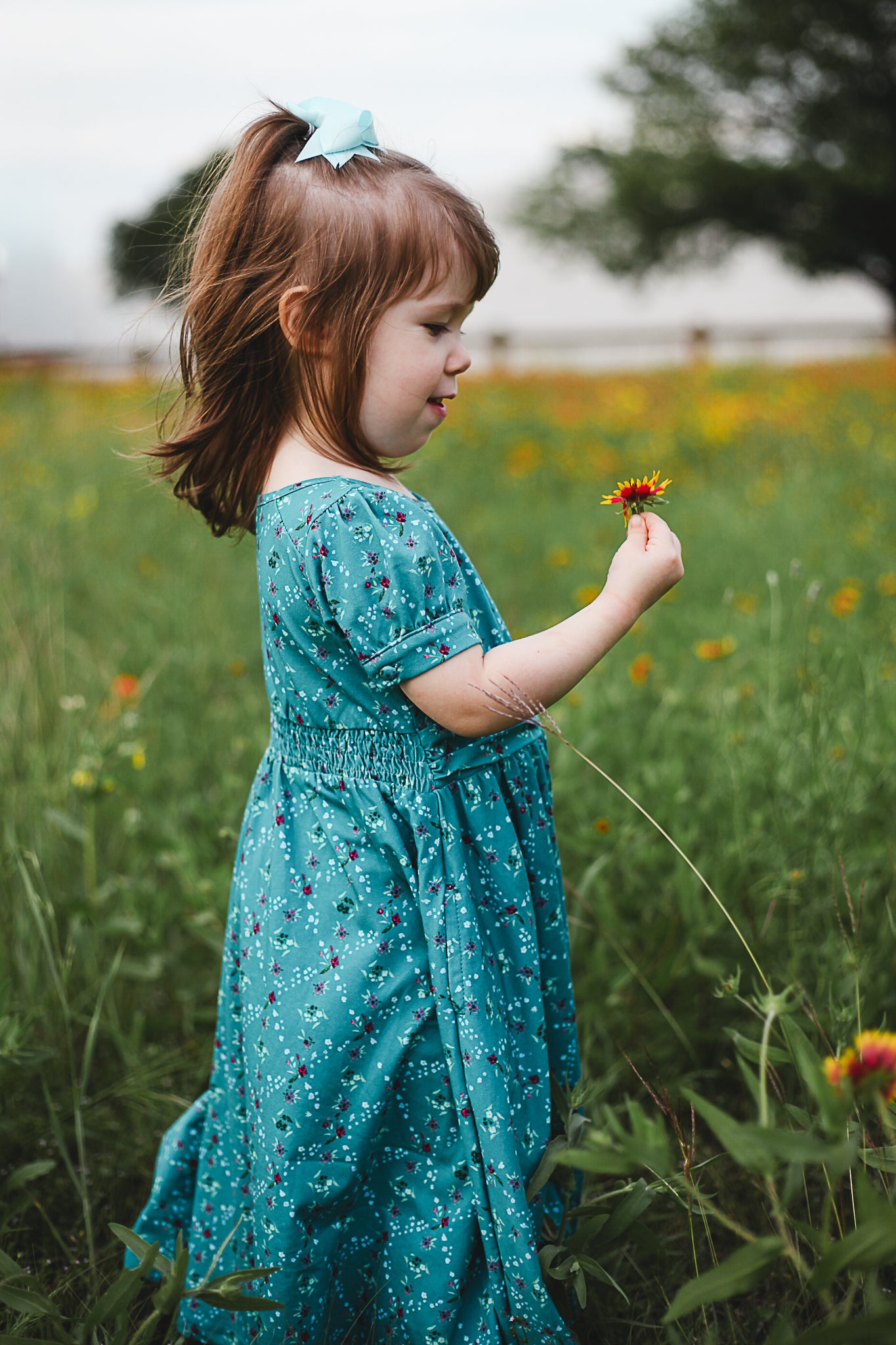 Thistledew ~ Mini Laureate Dress