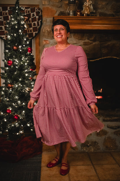 Cranberry Gingham ~ Storybook Dress