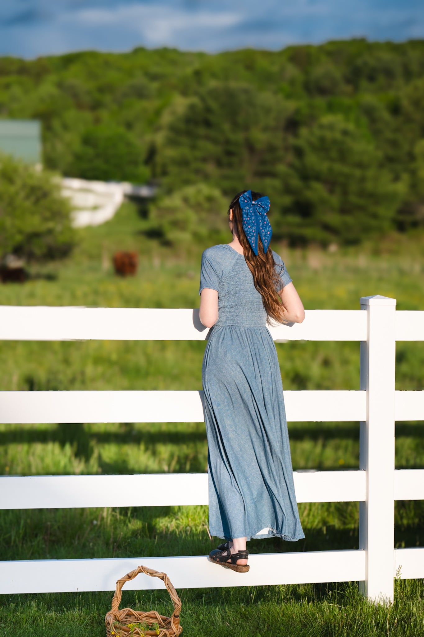 Shenandoah Chambray ~ Folklore Maxi