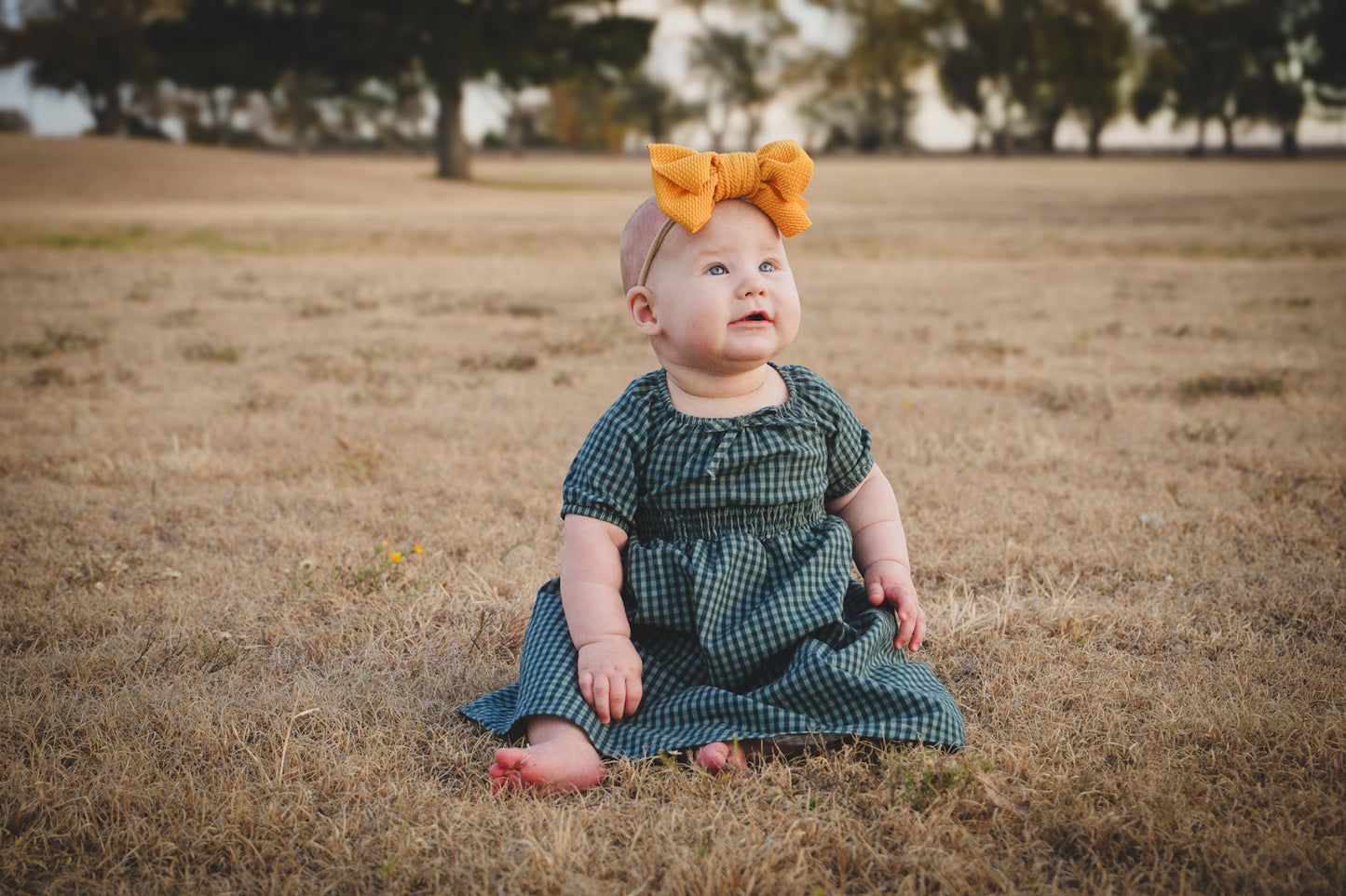 Spruce Gingham ~ Mini Folklore