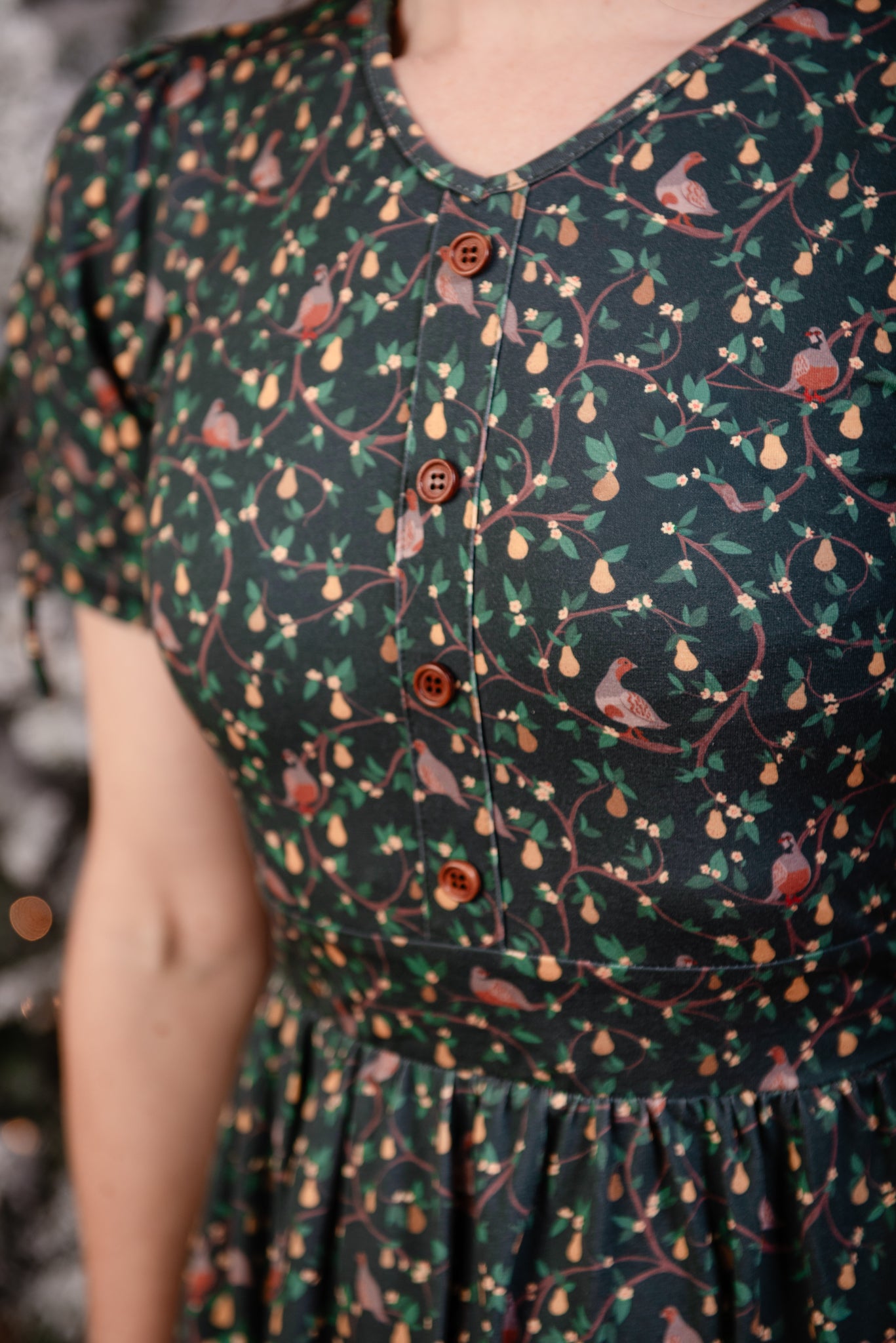 Pear Tree Lane ~ Hinterland Dress