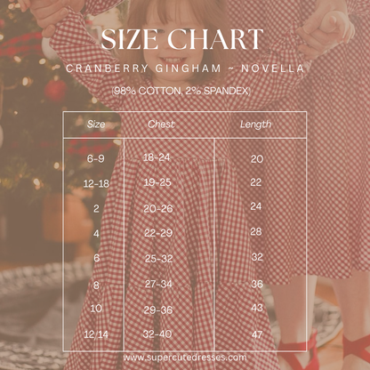 Cranberry Gingham ~ Novella Dress