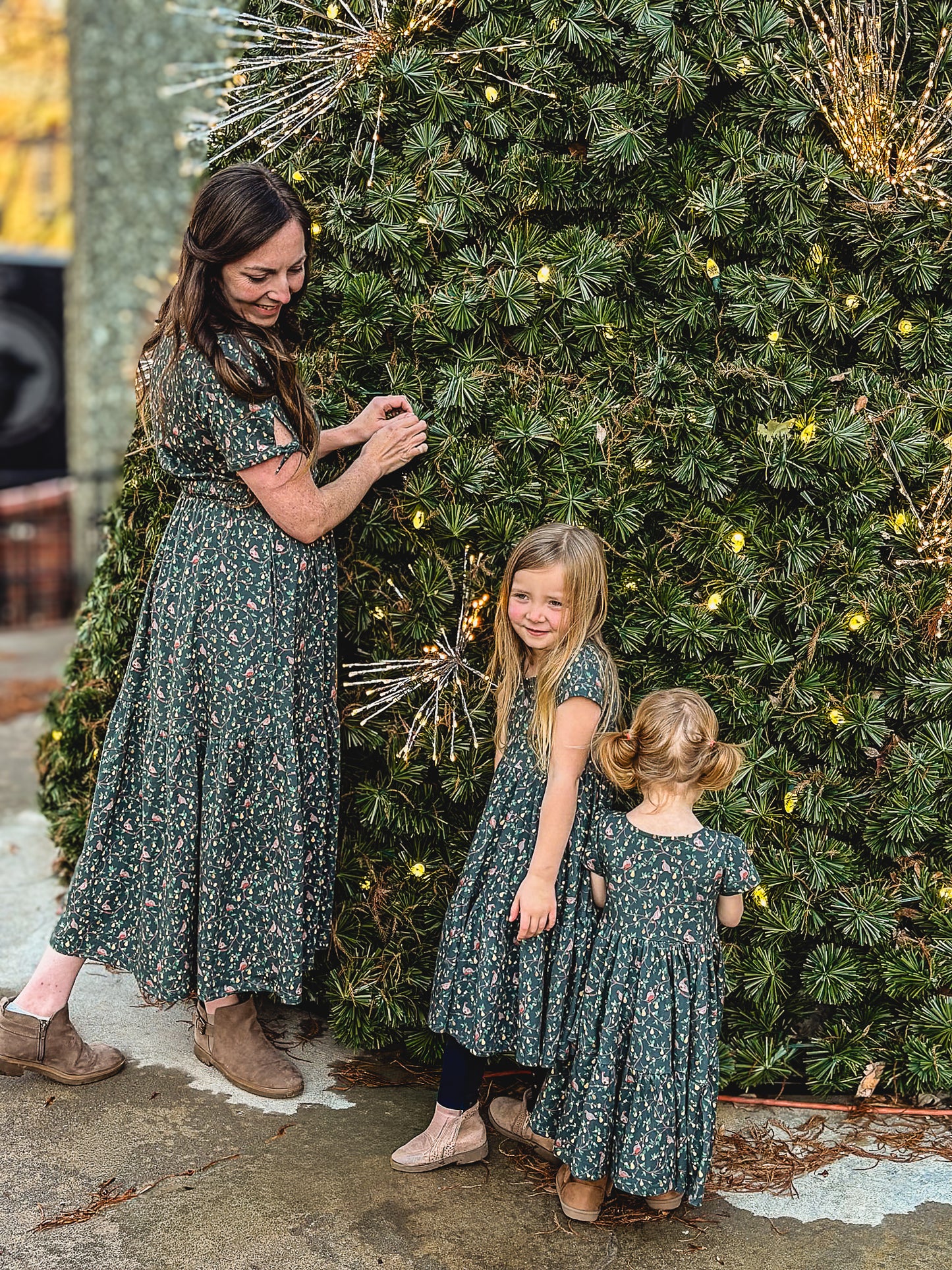 Pear Tree Lane ~ Novella Dress