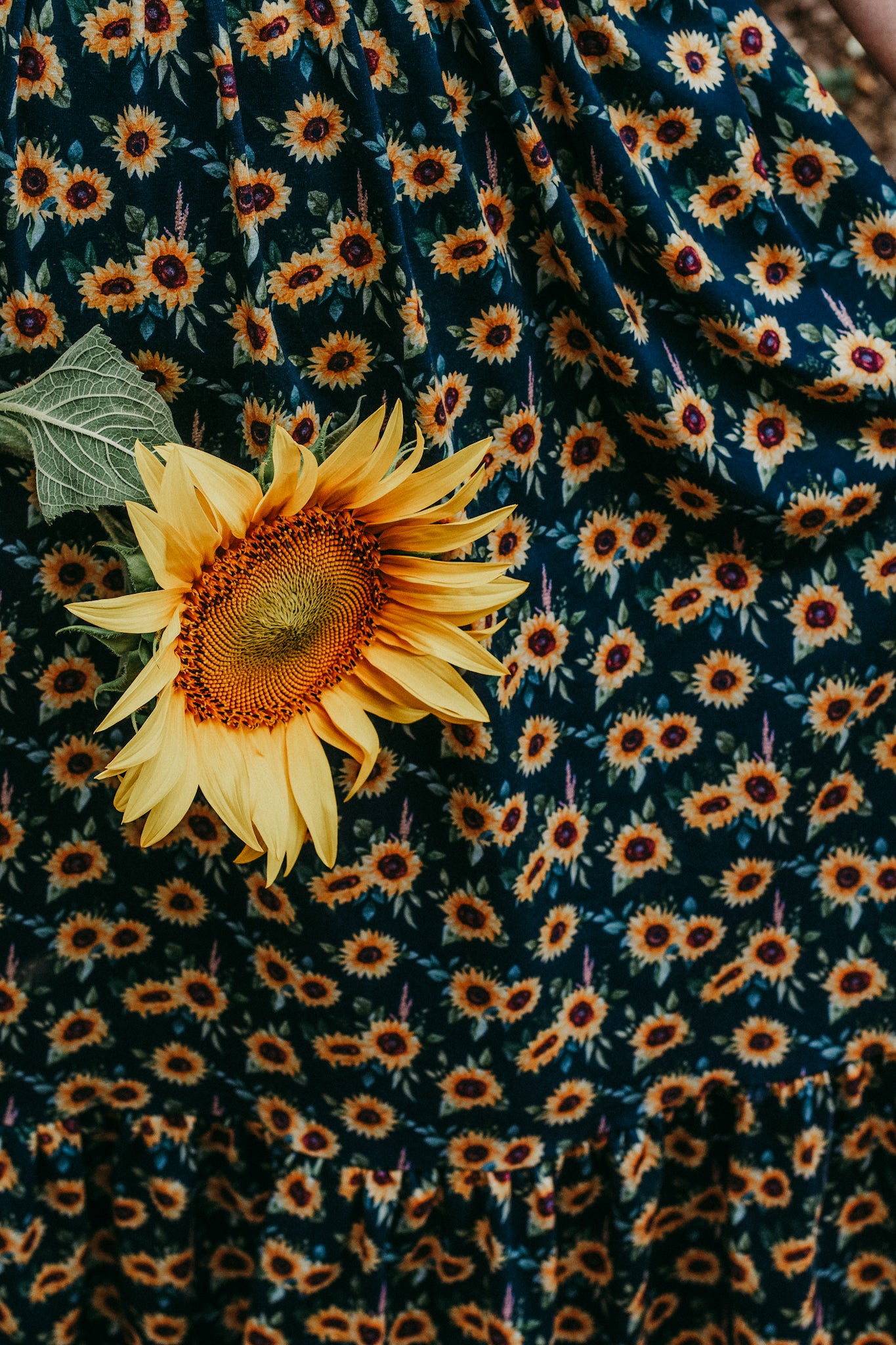 Prairie Sunflower ~ Amorette Dress