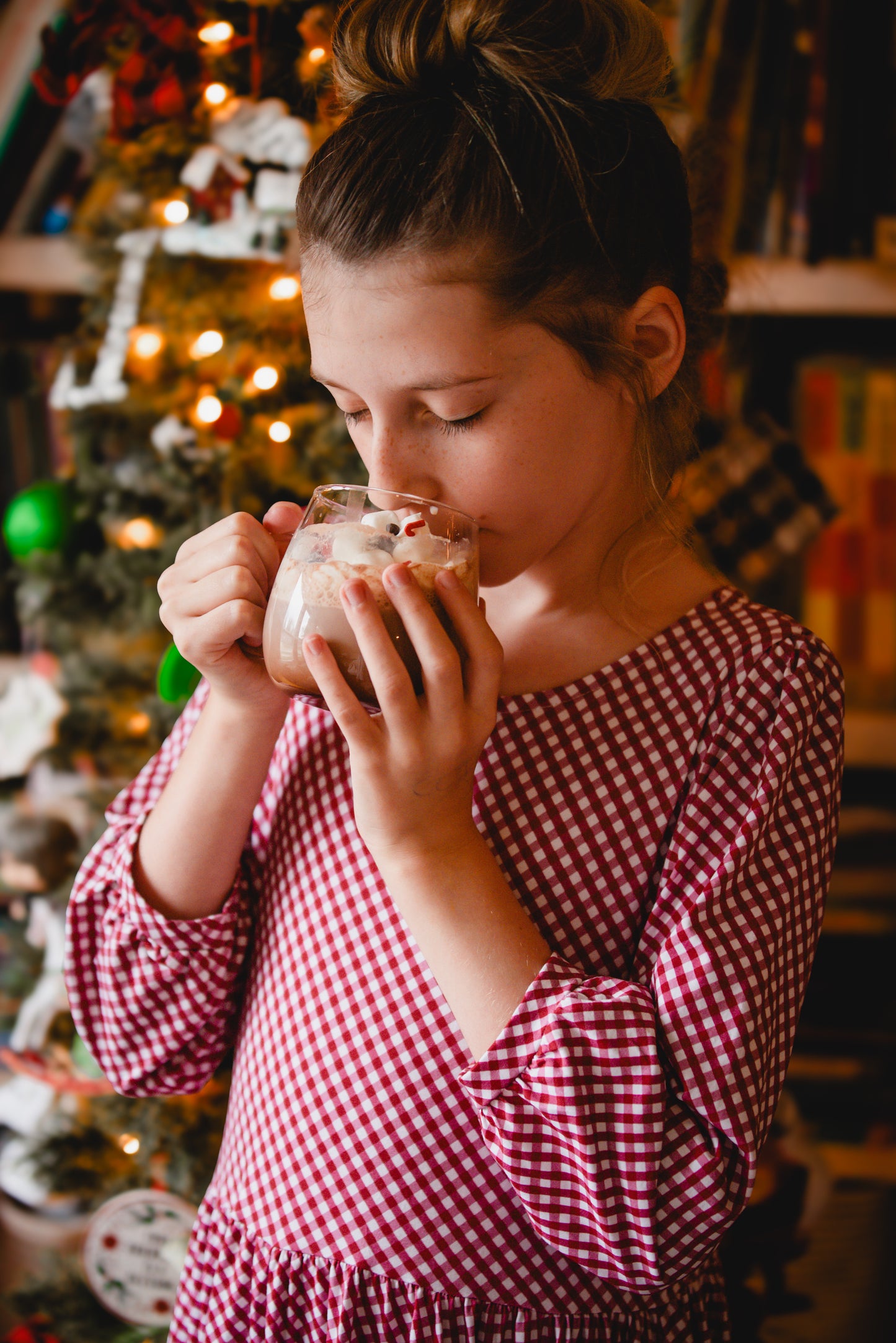 Cranberry Gingham ~ Novella Dress