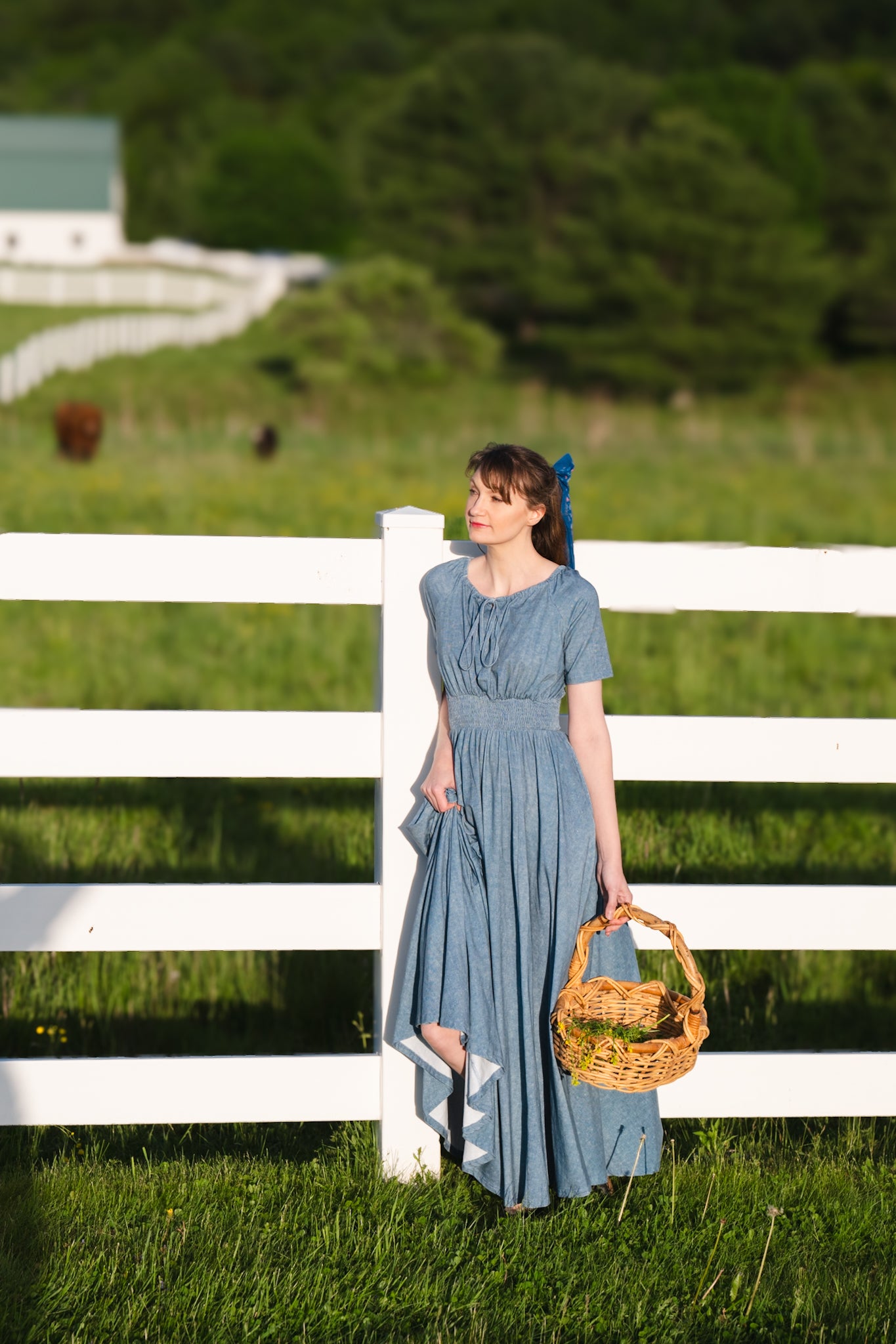 Shenandoah Chambray ~ Folklore Maxi