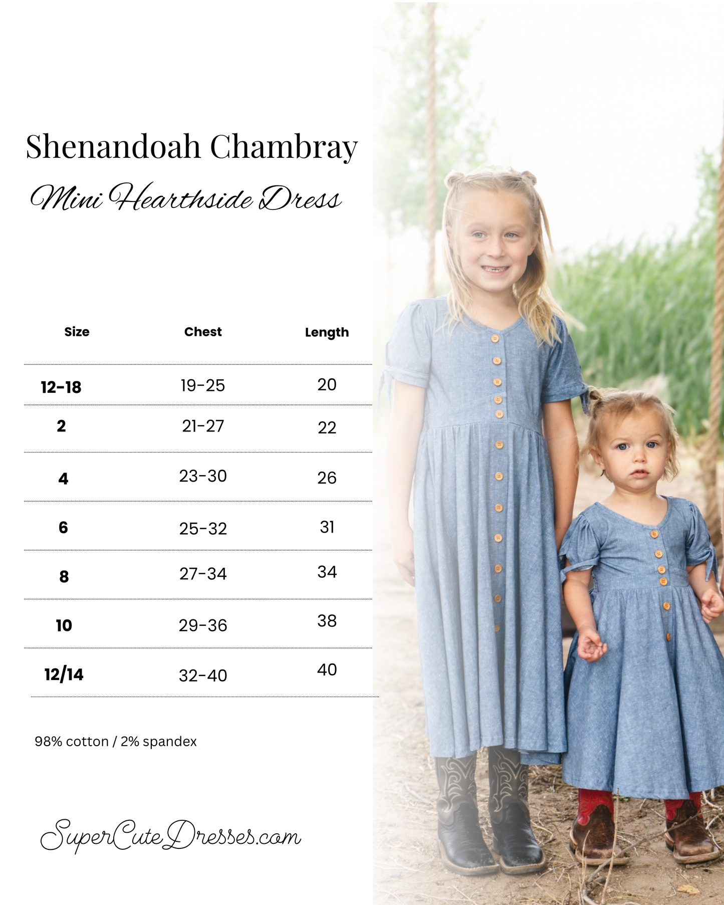 Shenandoah Chambray ~ Mini Hearthside Dress