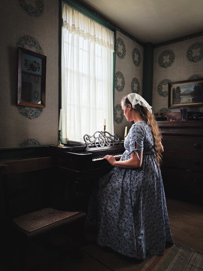 Bluebell Pastures ~ Hearthside Dress