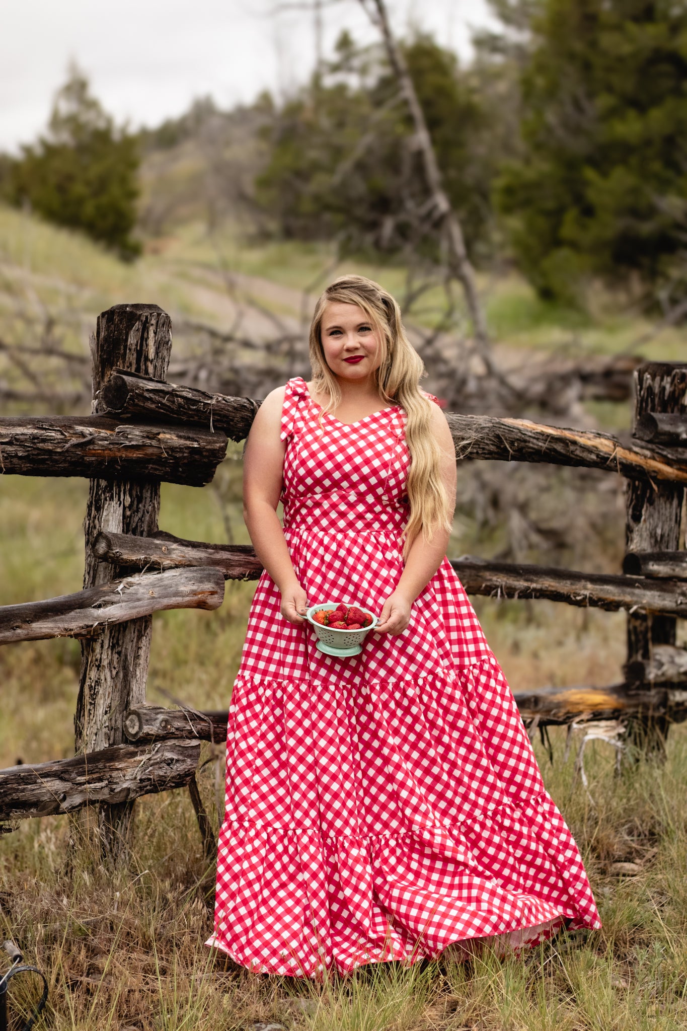 Grenadine Gingham ~ Lenora Dress