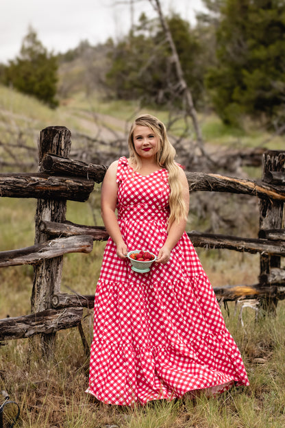 Grenadine Gingham ~ Lenora Dress