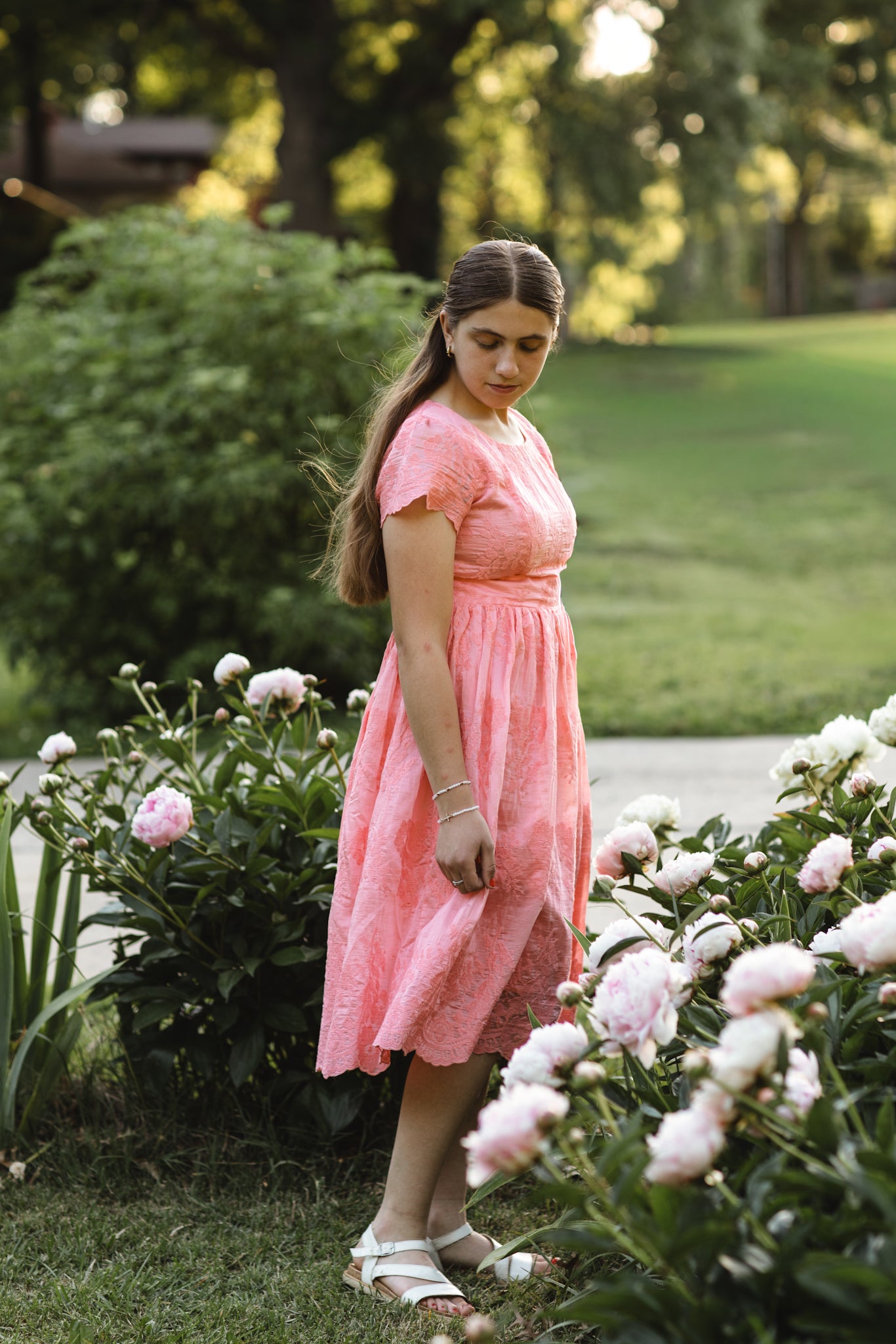 Apricity ~ Everine Dress