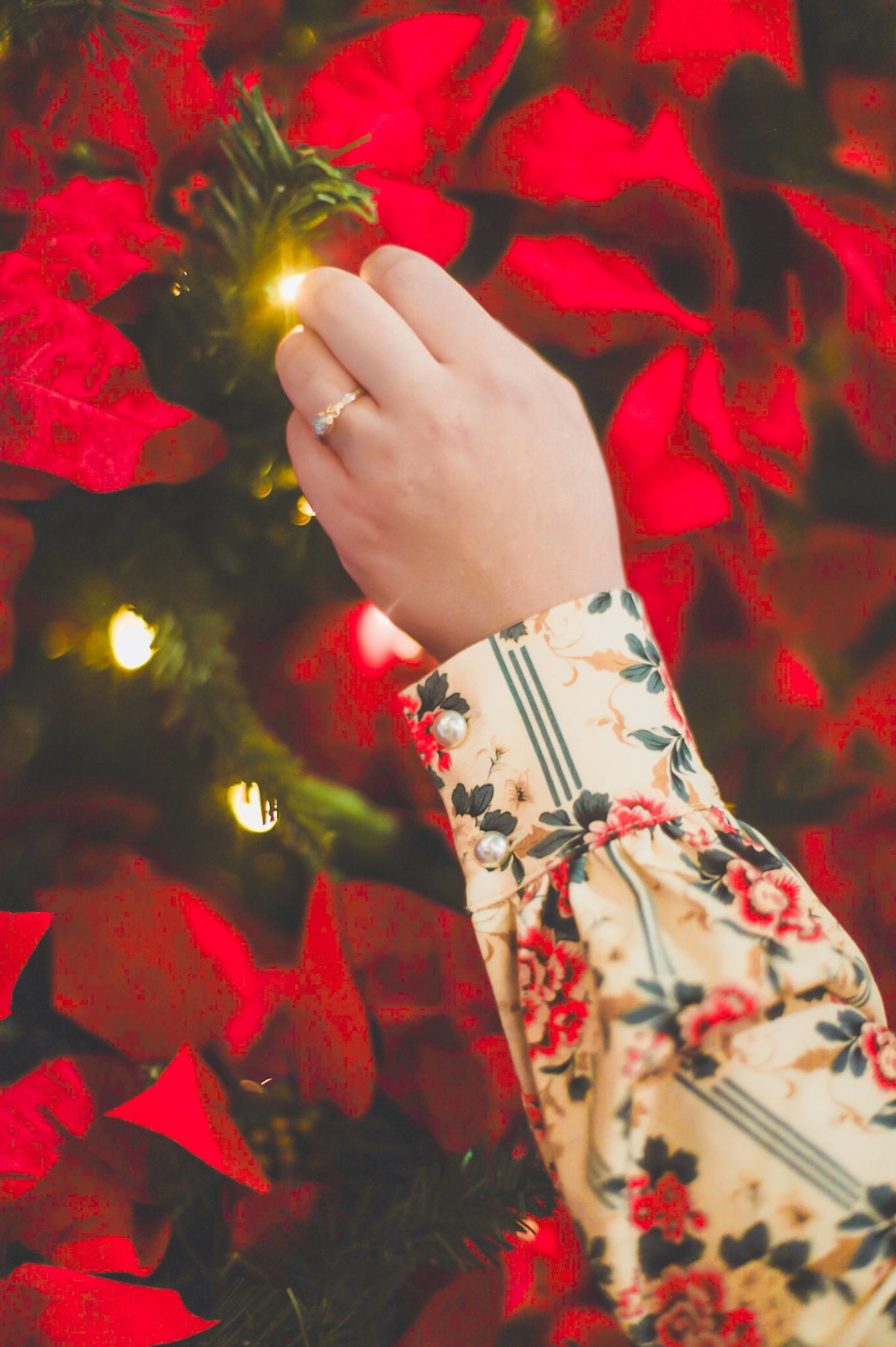 Camellia Carol ~ Storybook Dress