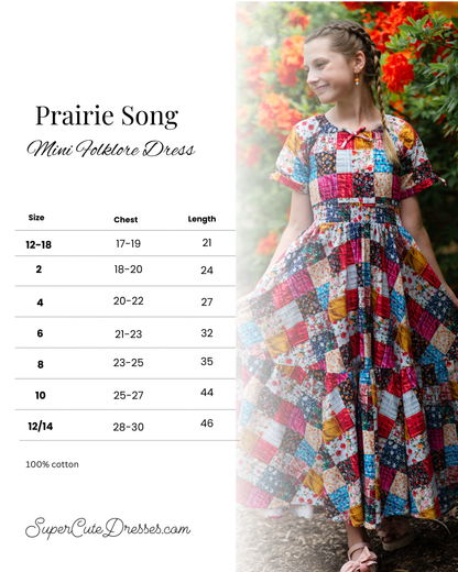 Prairie Song ~ Mini Folklore Dress