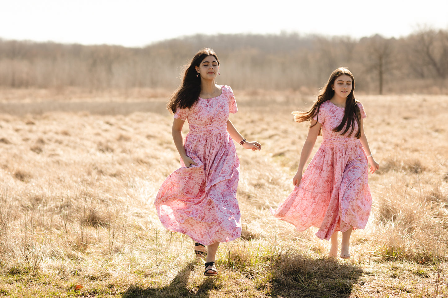 Tearose Toile ~ Mini ~ Laureate Dress