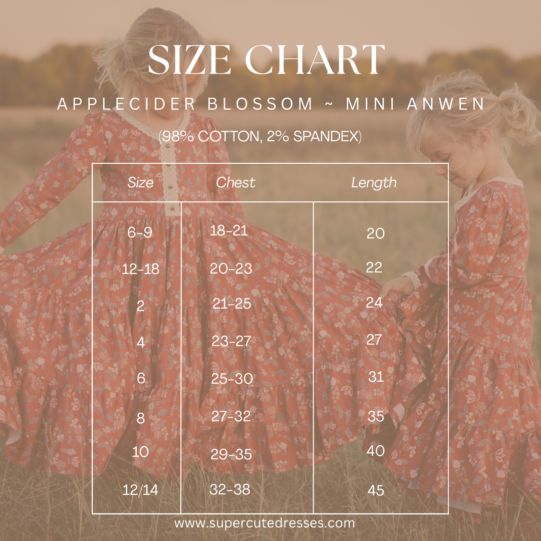 apple cider mini dress Apple Cider Sippin Mini Dress in Rust M / Rust