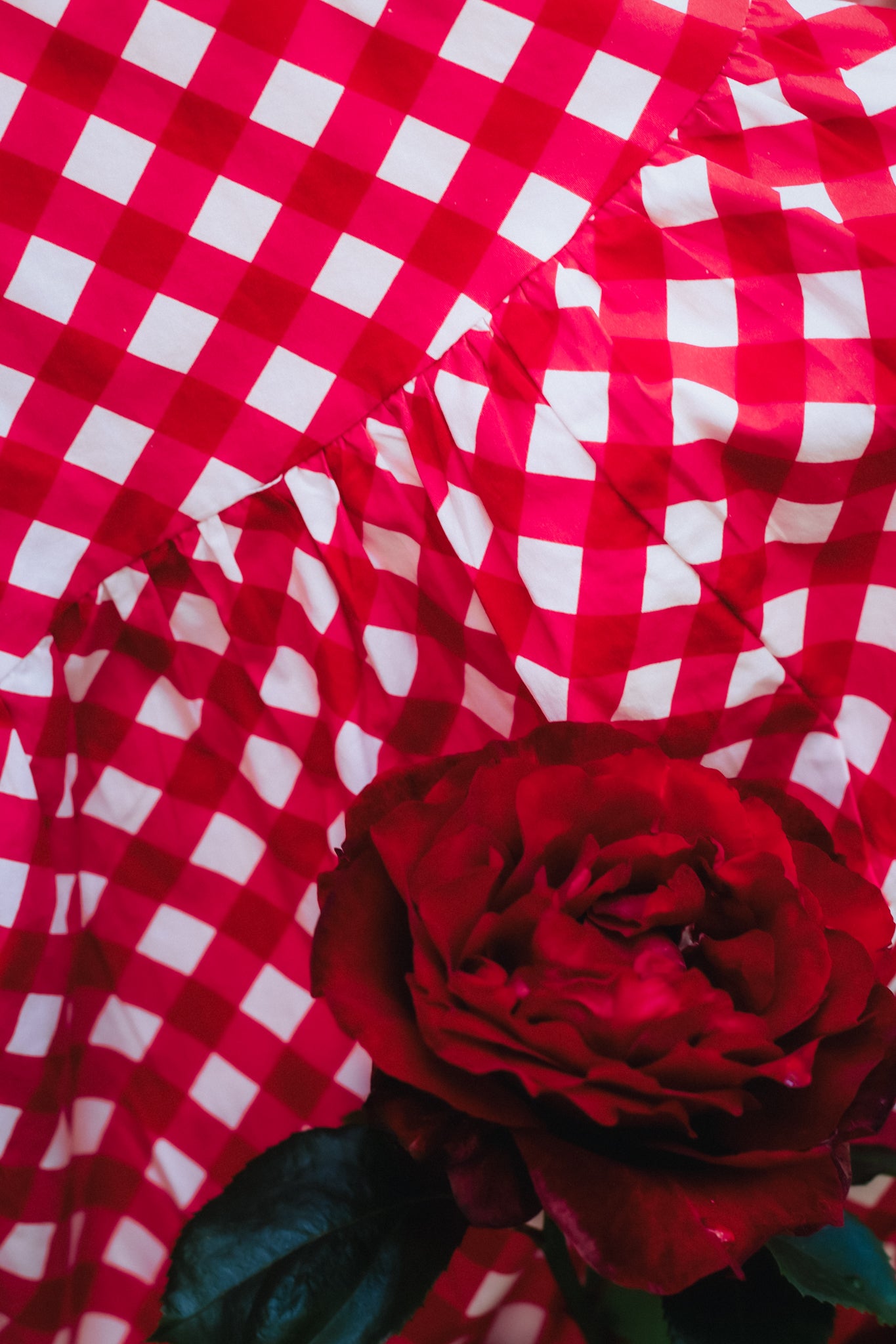 Grenadine Gingham ~ Lenora Dress
