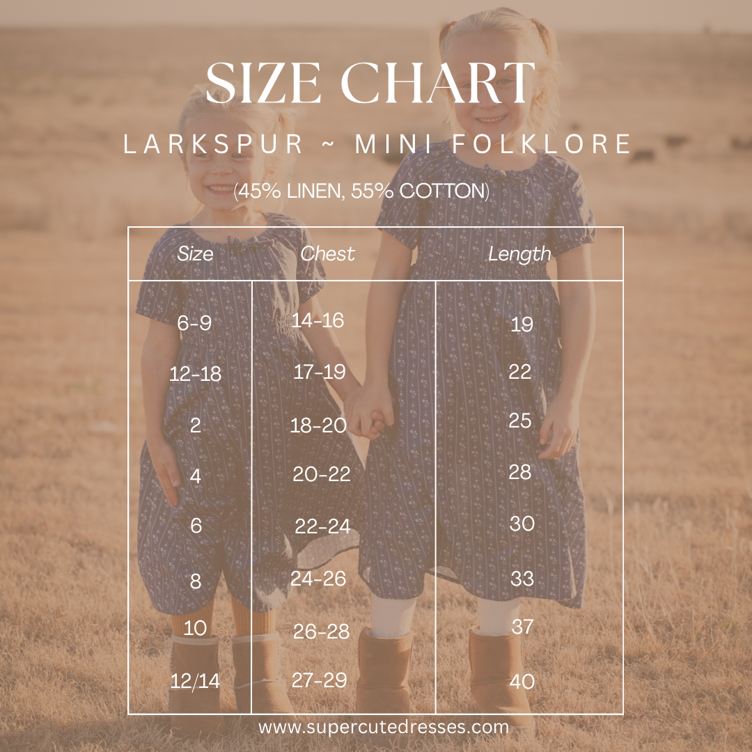 Larkspur ~ Mini Folklore Dress