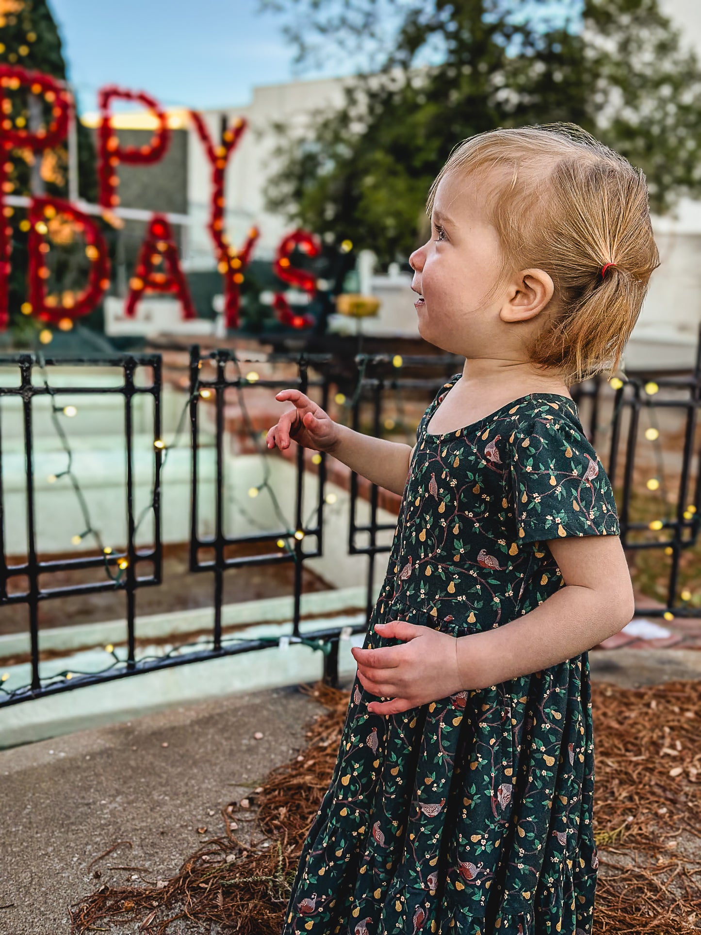 Pear Tree Lane ~ Novella Dress