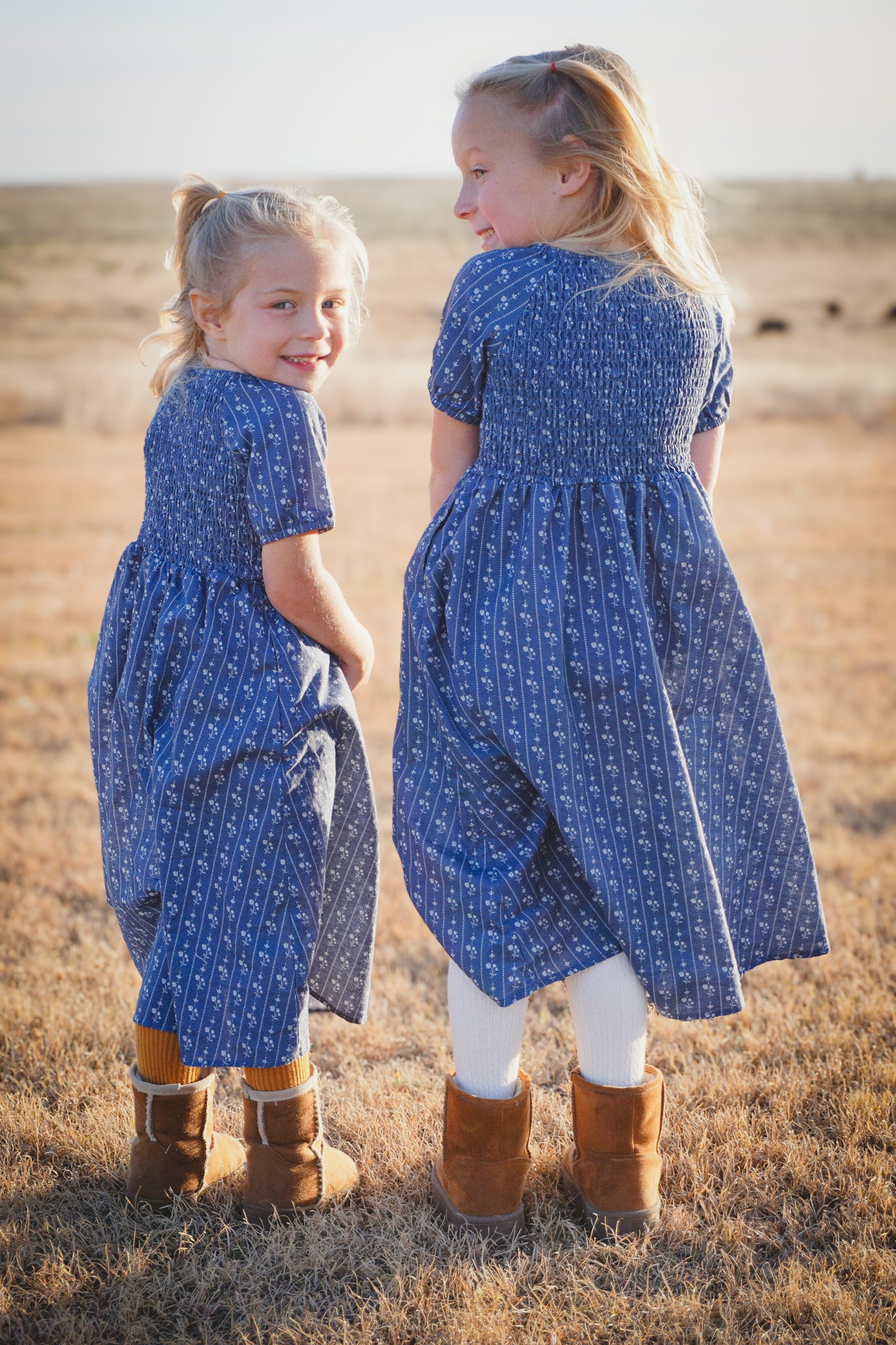 Larkspur ~ Mini Folklore Dress
