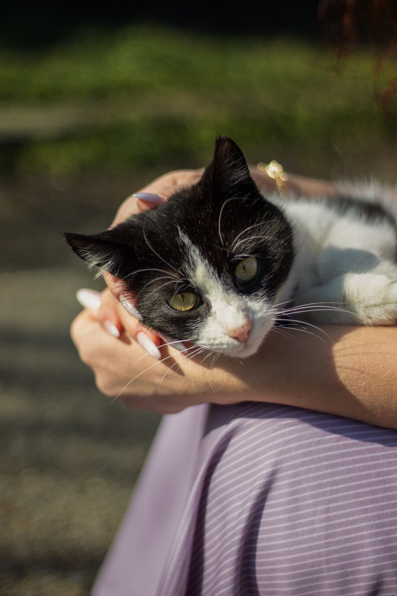 Lilac Lineage ~ Everyday Dress