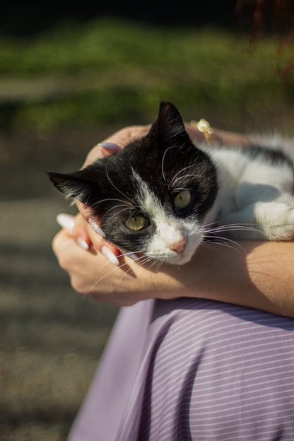 Lilac Lineage ~ Everyday Dress