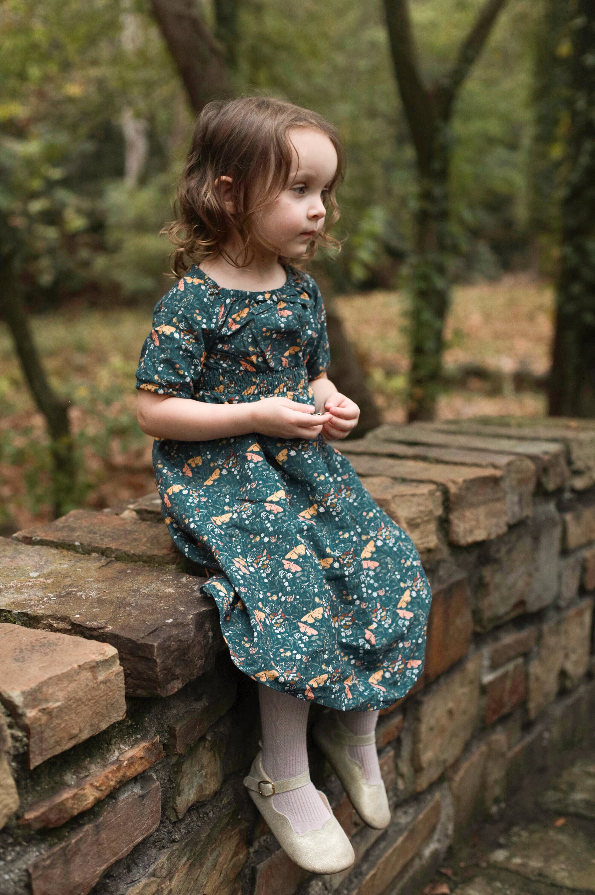 Aurelian Arbor ~ Mini Folklore Dress Aurelian Arbor ~ Mini Folklore Dress