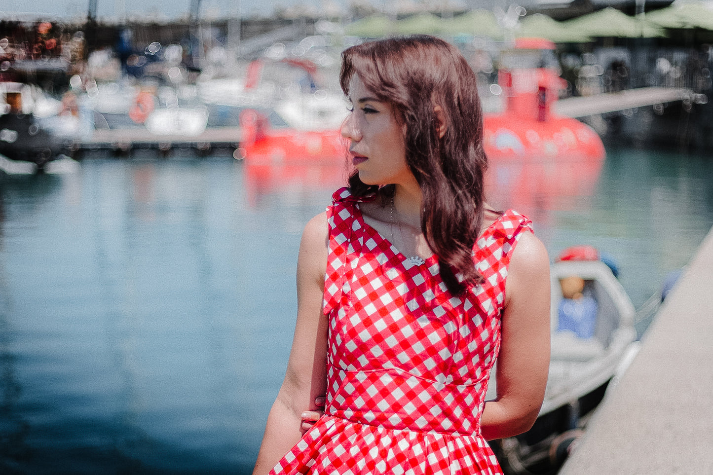 Grenadine Gingham ~ Lenora Dress