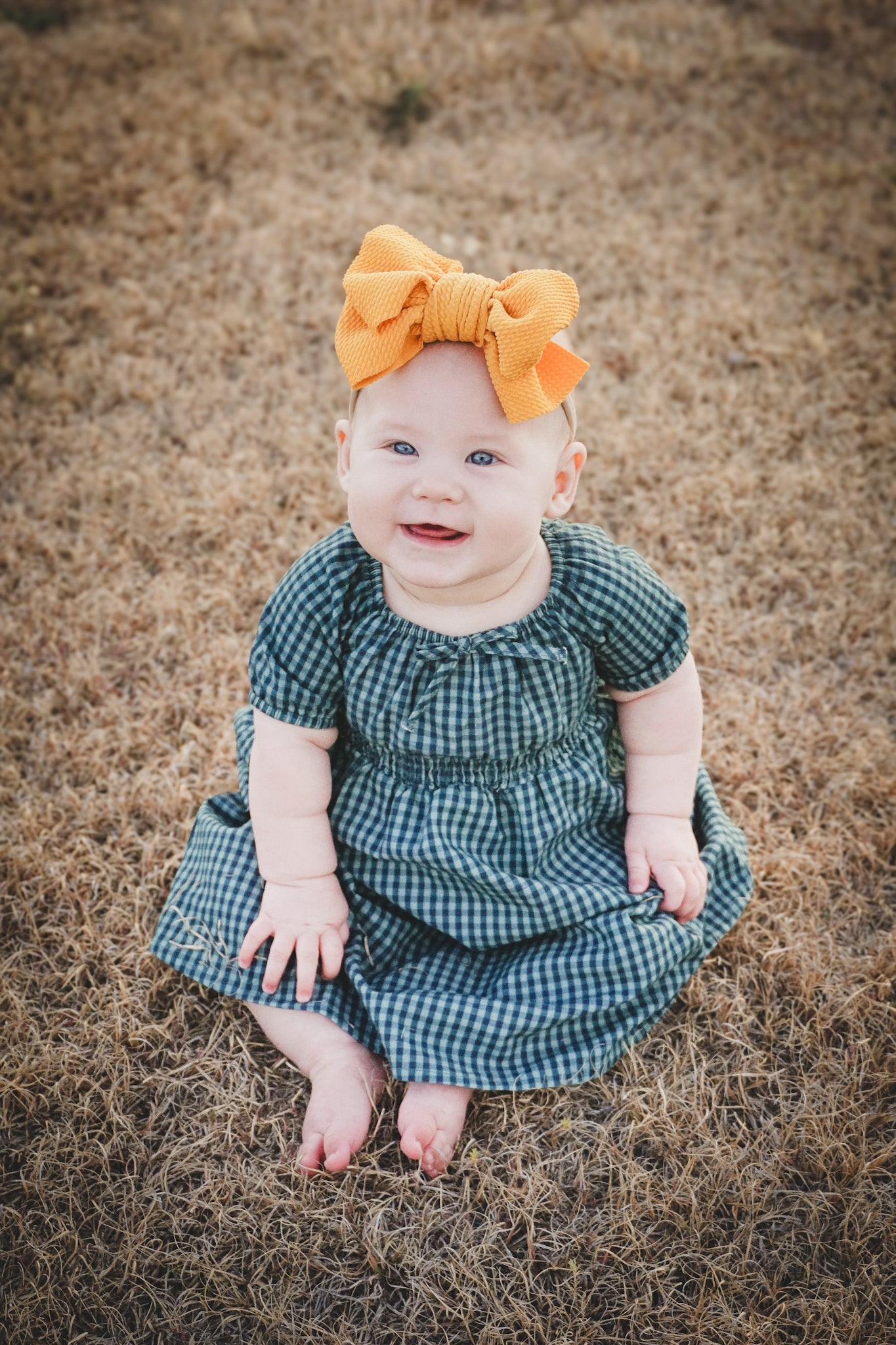Spruce Gingham ~ Mini Folklore