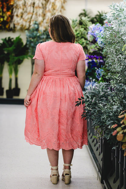 Apricity ~ Everine Dress