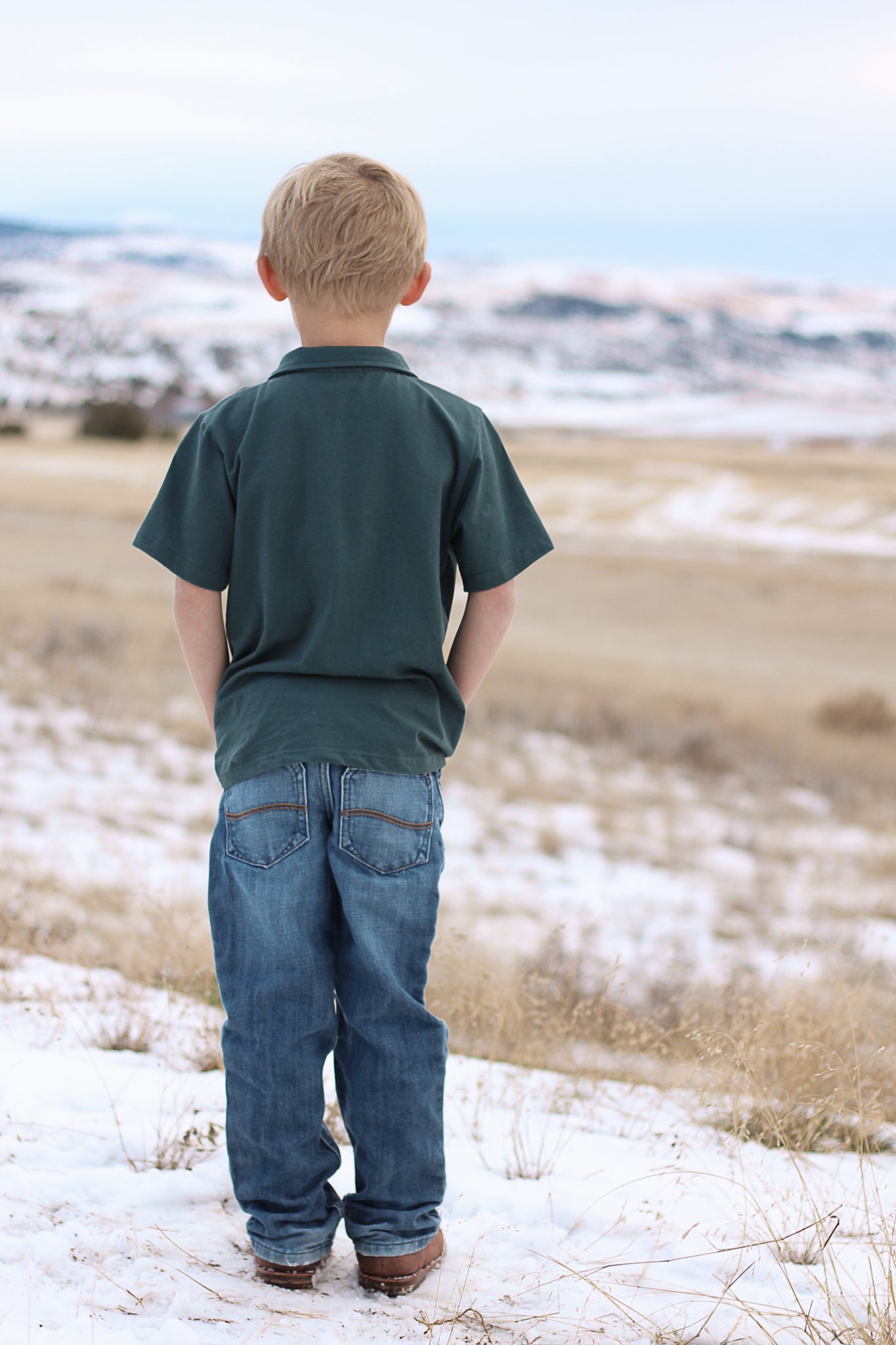 Pear Tree Lane ~ Perseverance Polo