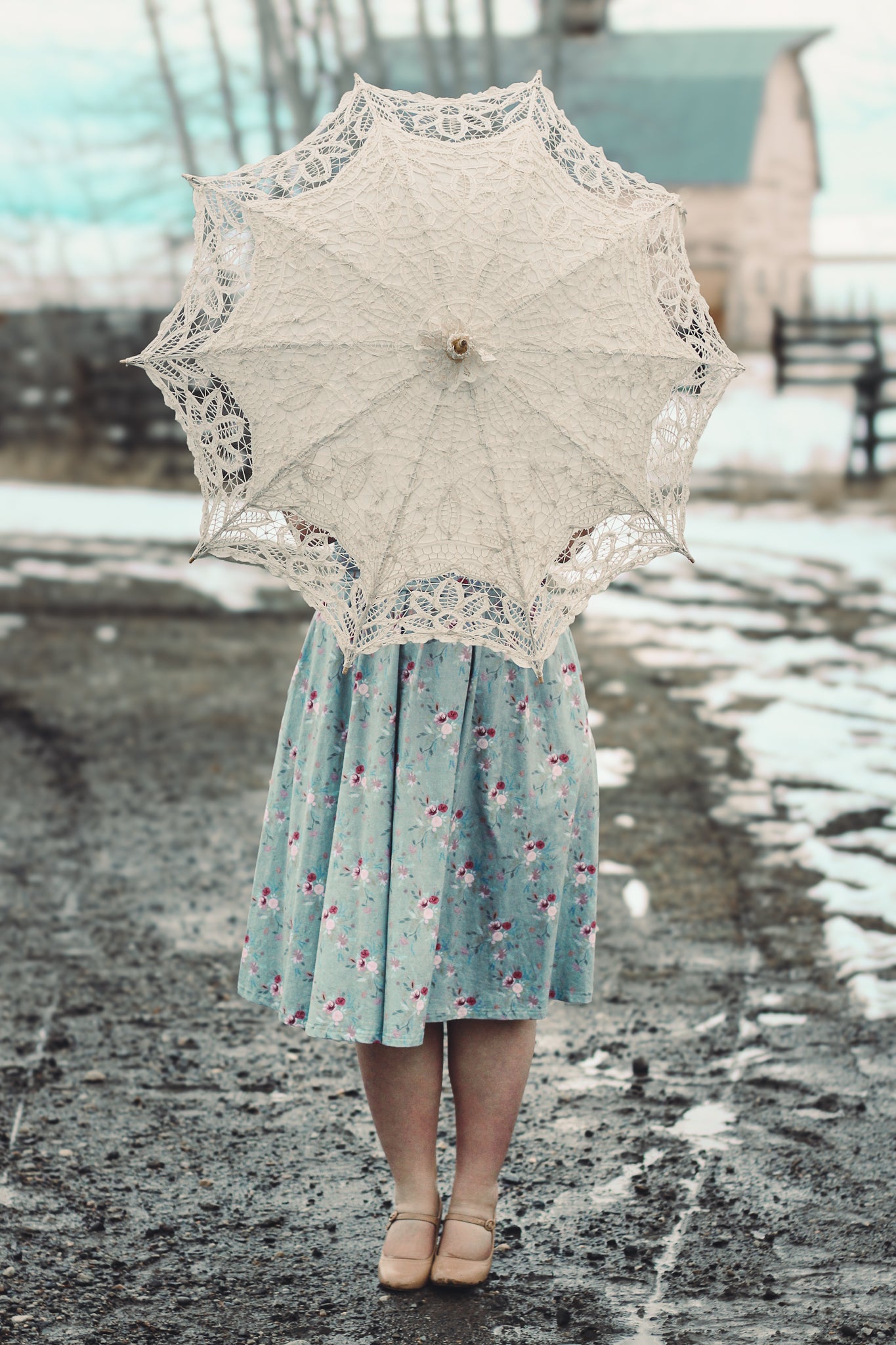 Windy Poplars ~ Laureate Midi
