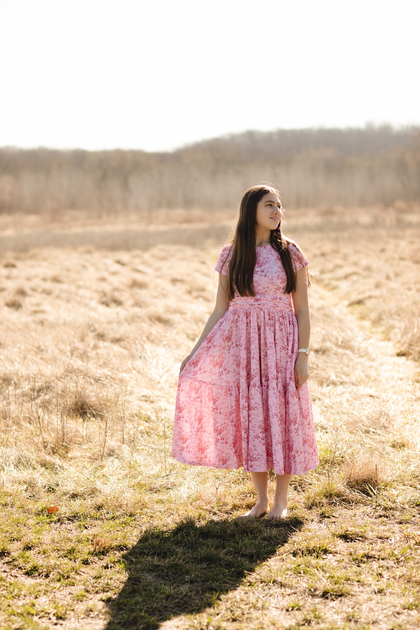 Tearose Toile ~ Mini ~ Laureate Dress