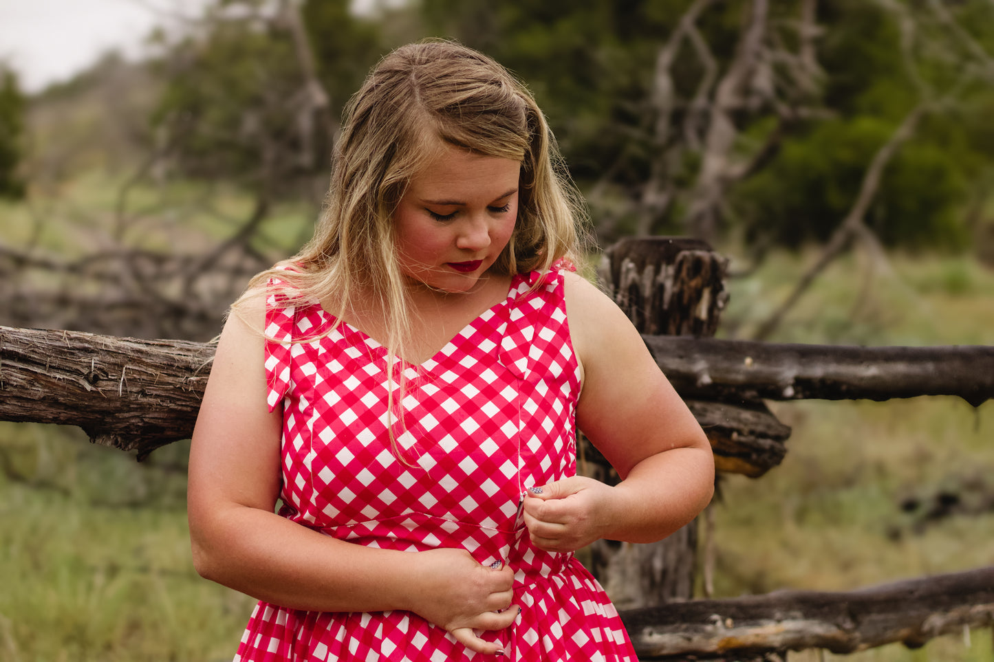 Grenadine Gingham ~ Lenora Dress