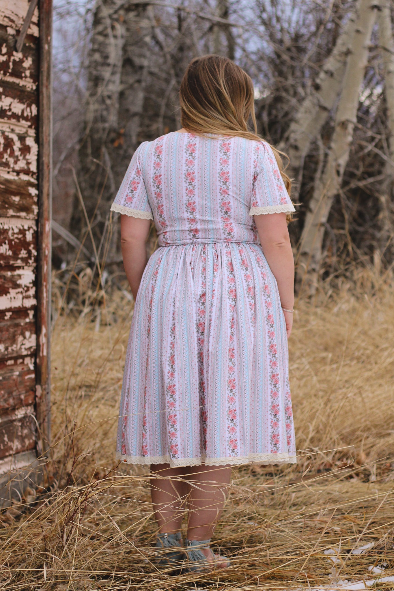 Rosemont Tapestry ~ Windermere Dress