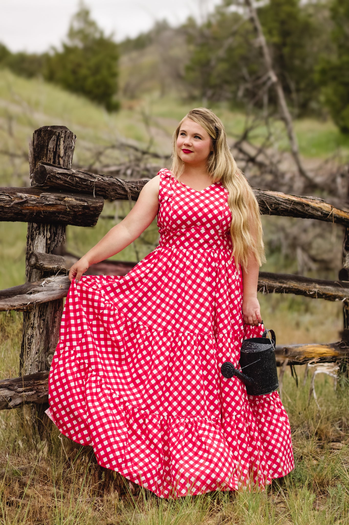 Grenadine Gingham ~ Lenora Dress