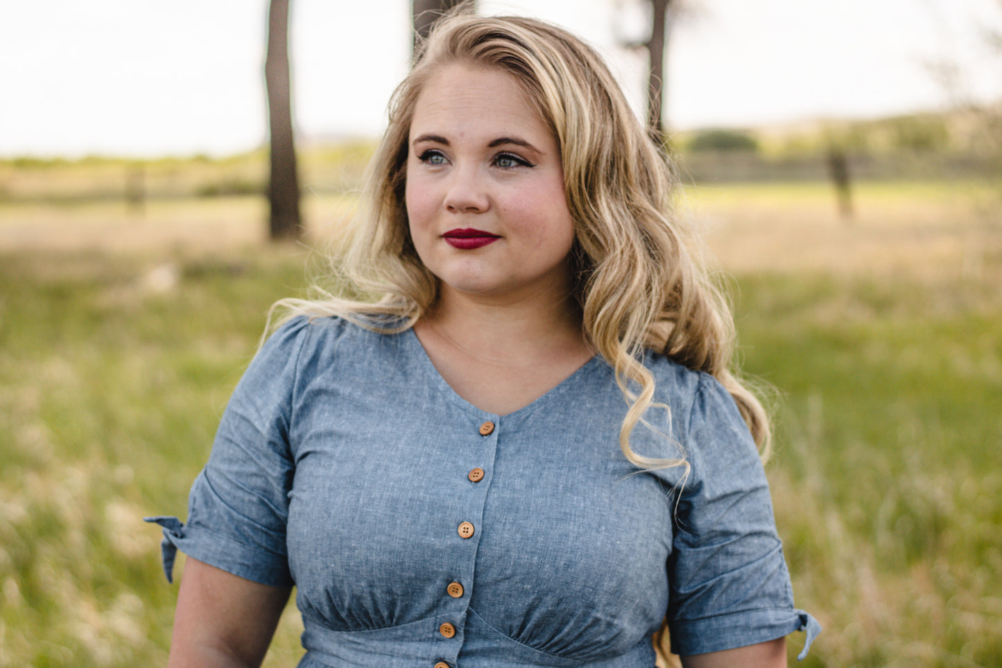 Shenandoah Chambray ~ Hearthside Midi