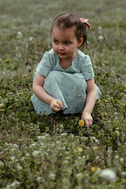 Willow ~ Mini Psalmfield Dress