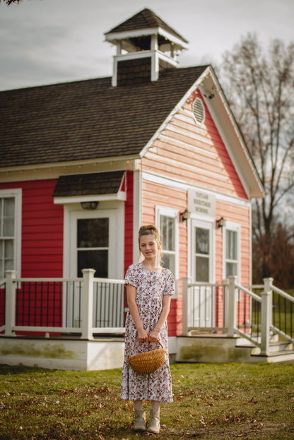 Antique Apples ~ Mini Windermere Dress