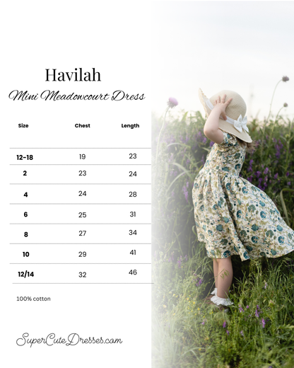 Havilah ~ Mini Meadowcourt Dress