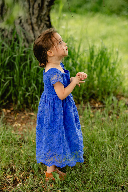 Sapphira ~ Mini Everine Dress