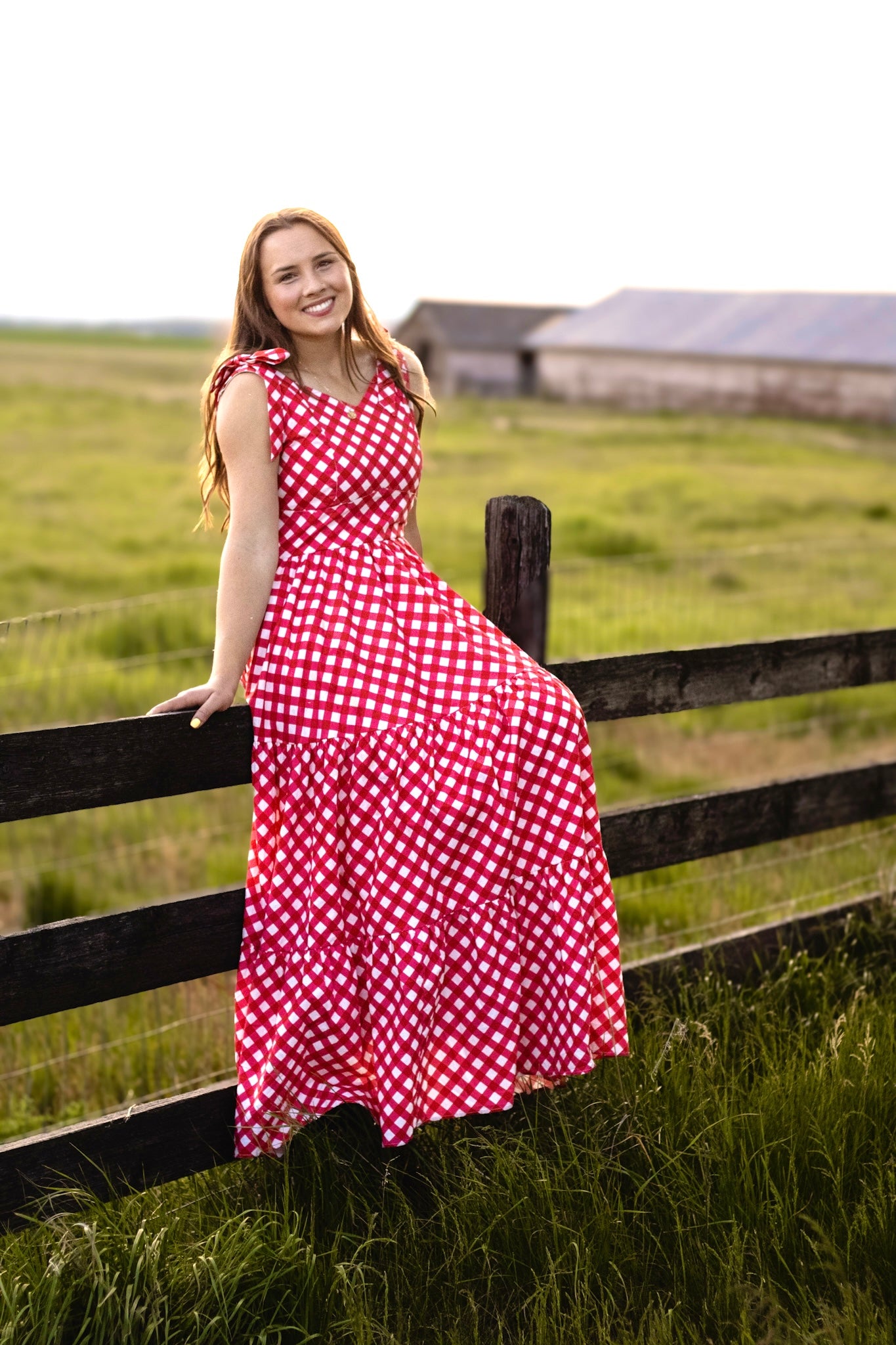 Grenadine Gingham ~ Lenora Dress