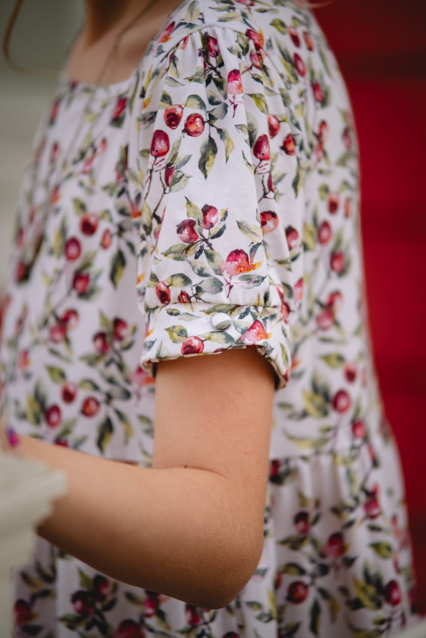 Antique Apples ~ Mini Windermere Dress