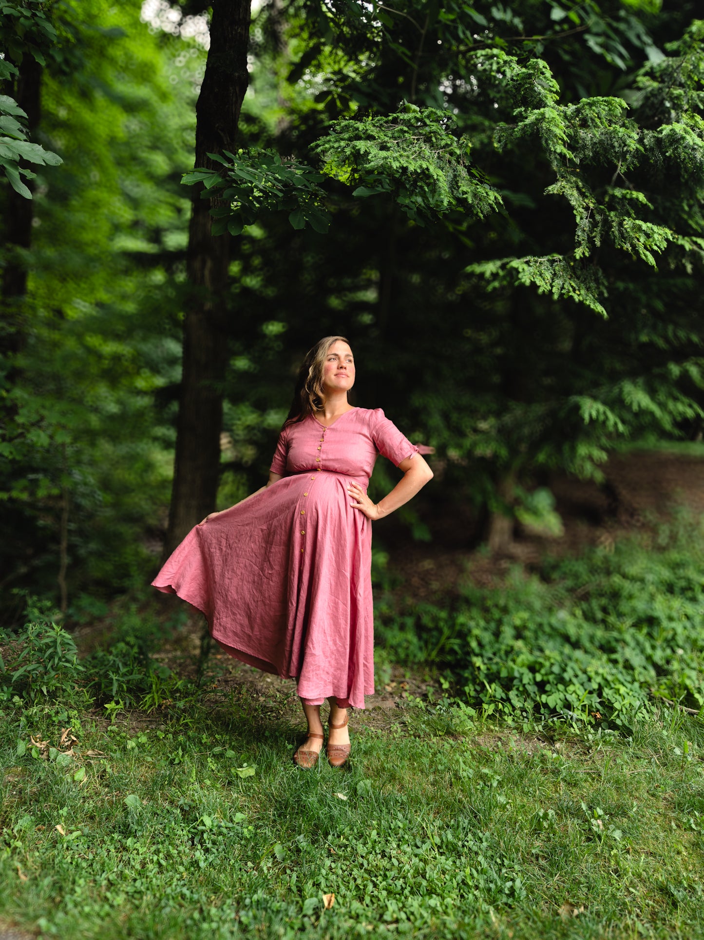 Briar Rose ~ Hearthside Dress